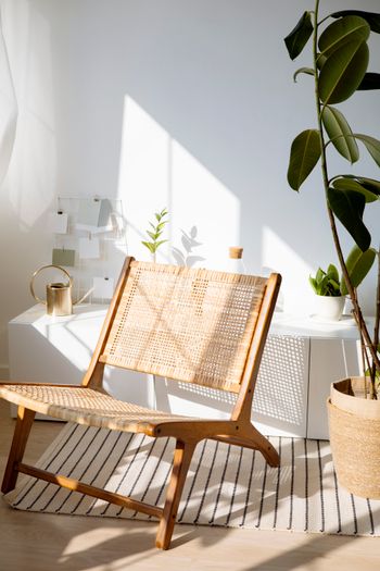 wooden chair and plant