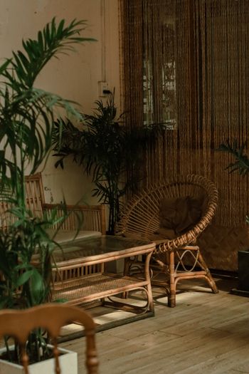  indoor cozy natural rattan